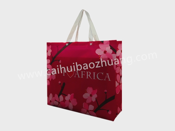 彩匯包裝 時(shí)尚花朵手提袋  外貿(mào)手提袋