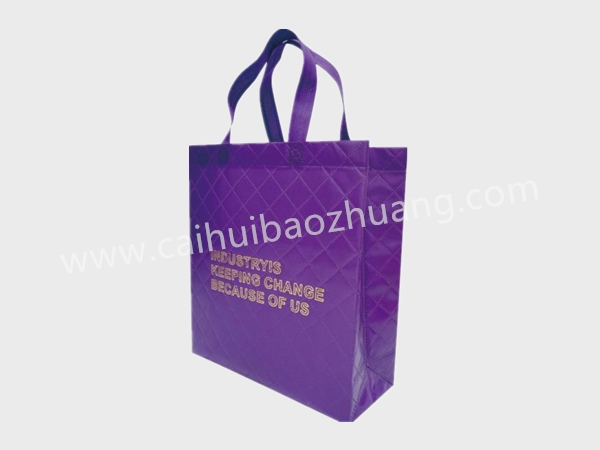 彩匯包裝 手提包裝袋定制廠(chǎng)家 個(gè)性手提袋定制