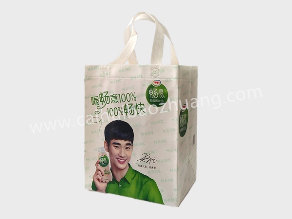 彩匯包裝 飲料禮盒手提袋  無(wú)紡布飲料包裝袋