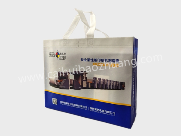 彩匯包裝 廠(chǎng)家定制無(wú)紡布手提袋 廣告宣傳袋