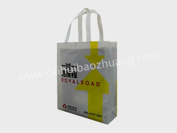 彩匯包裝 定制手提袋   手提袋廠(chǎng)家定制